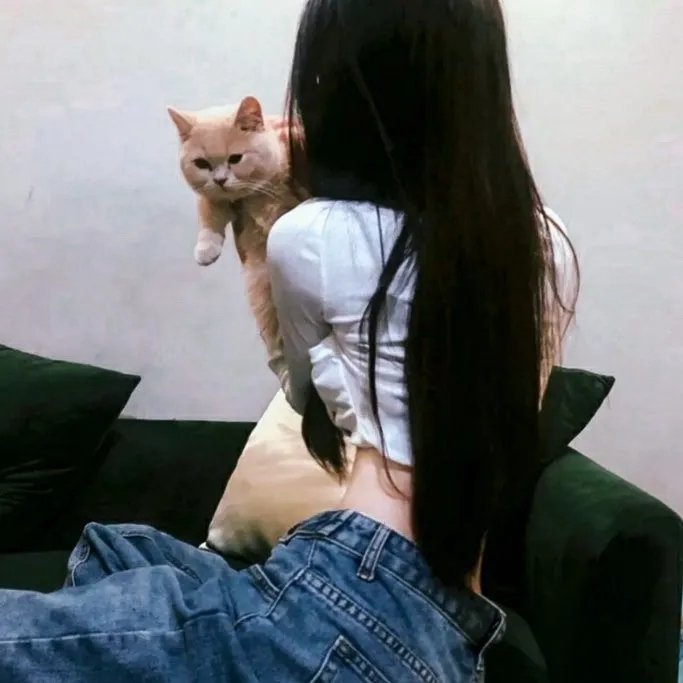 光影遗书 在线观看