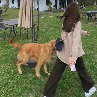 咸湿神医 在线观看