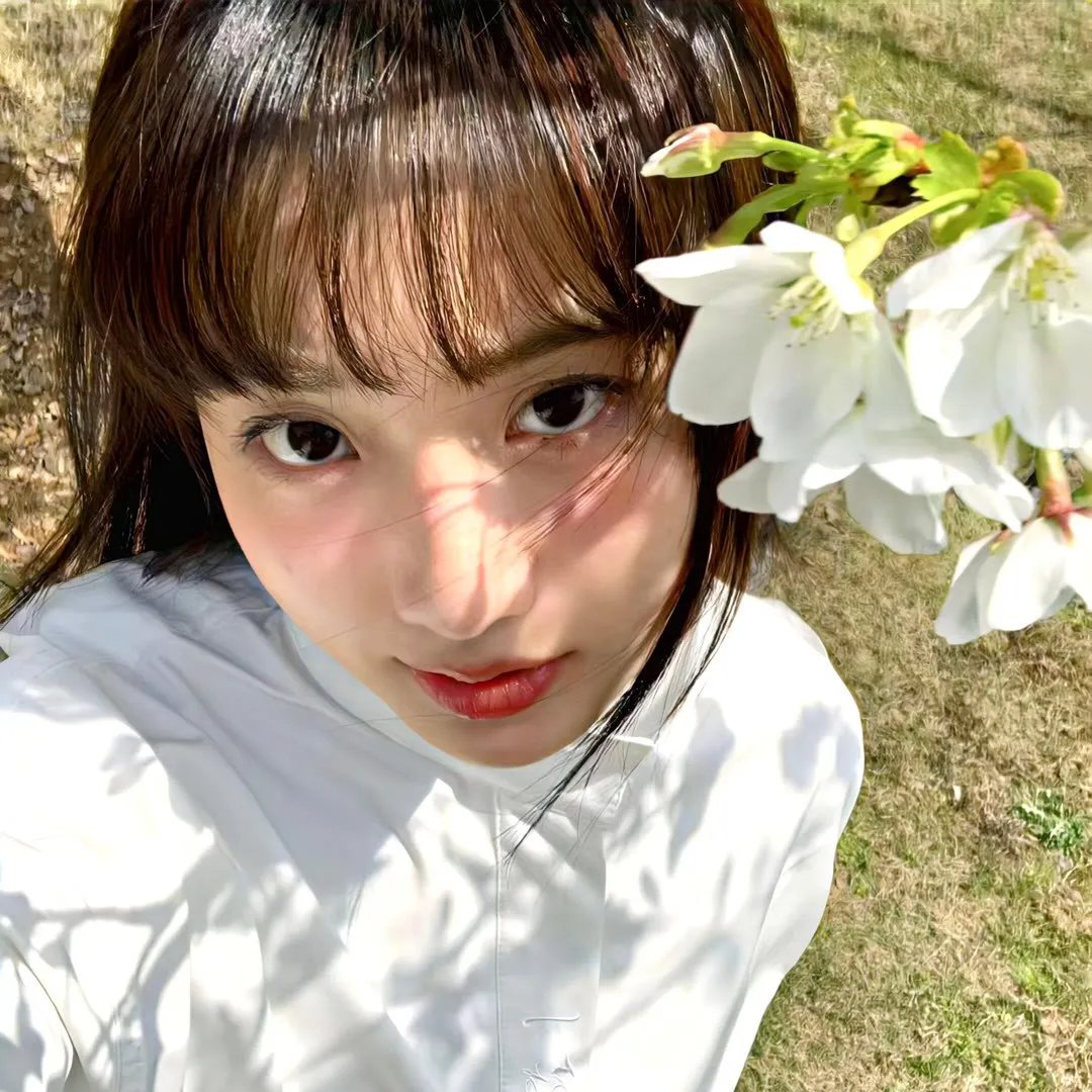 山林喋血 在线观看